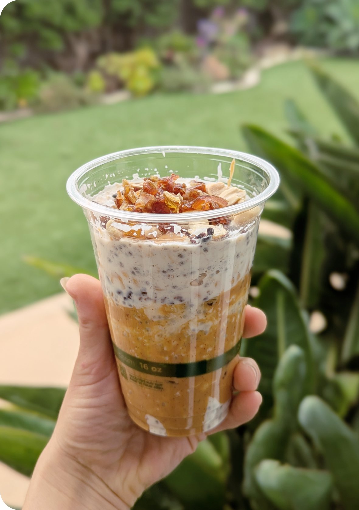 Breakfast — Snickers Protein Oats